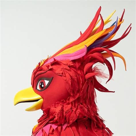 phoenix wings costume|phoenix mascot costume.